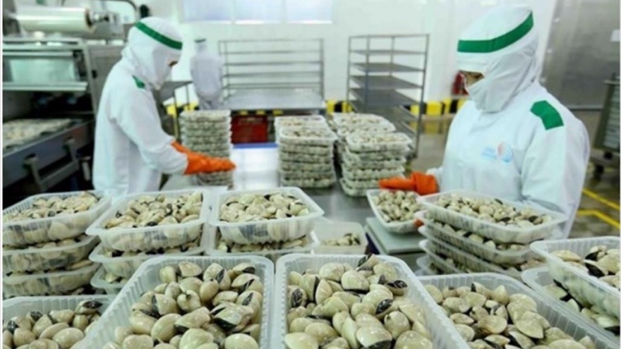 EU represents largest export market for Vietnamese clams